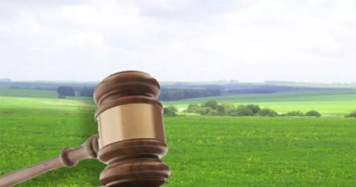 Прокуратура викрила схему з землею на Київщині: 40 гектарів повернули громаді