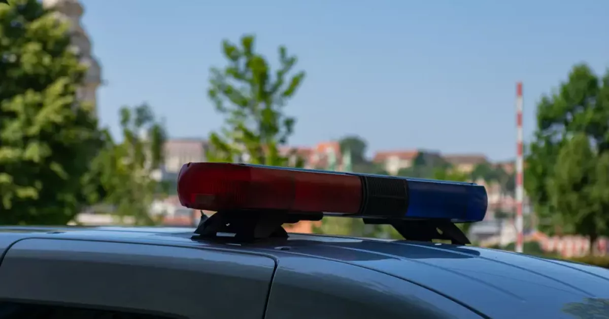У Білій Церкві підлітки знущалися над їжаком: поліція розшукує винних
