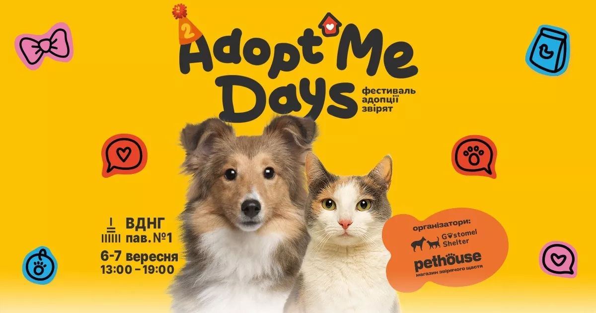 Фестиваль AdoptMe Days святкує другий рік: шукаємо дім для котиків і песиків