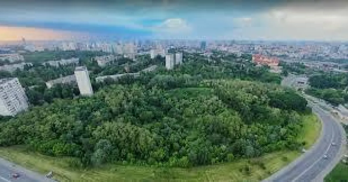 До 20 вересня Київ має вирішити долю заказника «Протасів Яр» імені Романа Ратушного