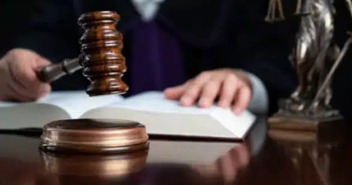 Перемога громади: суд скасував оренду землі під забудову біля Голосіївського парку