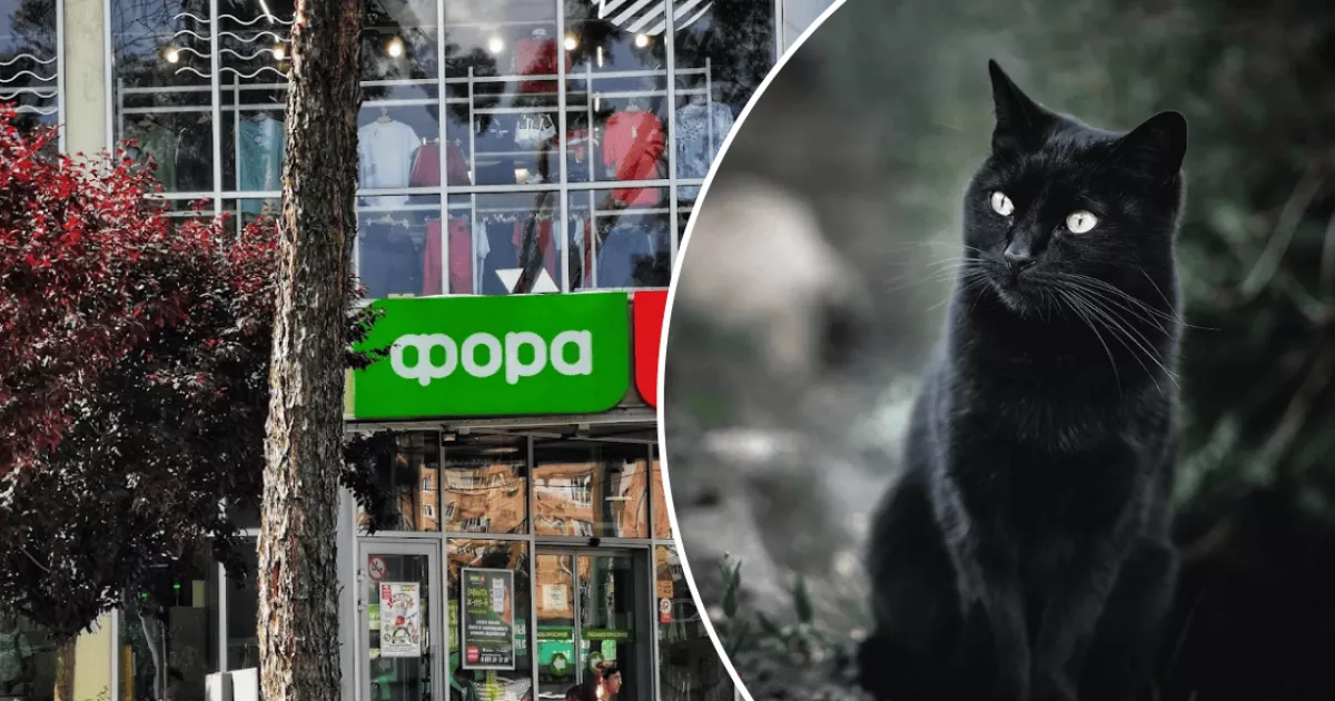 В Ірпені керуюча «Фори» задушила кота, що пережив окупацію — справа набирає розголосу
