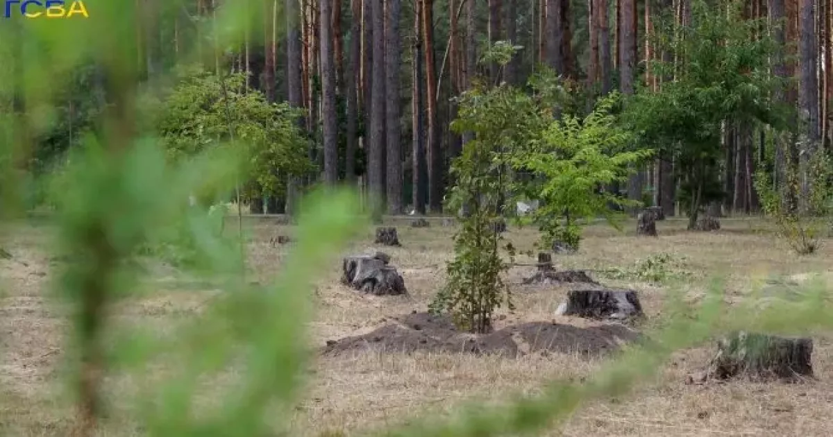 Гостомельська громада разом із міжнародною організацією озеленили парк «Щасливий»