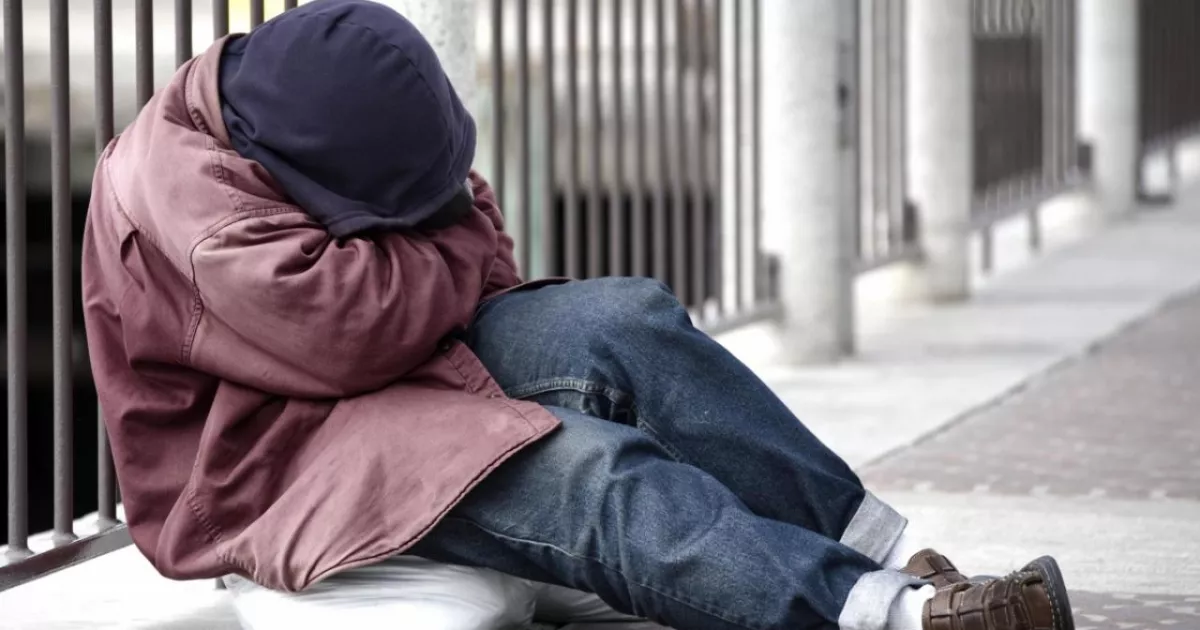 У Києві створять соціальні патрулі для допомоги бездомним: їх годуватимуть і вивозитимуть у притулки