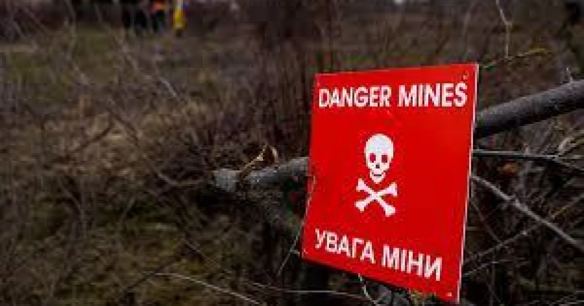ДСНС впровадила інноваційне розмінування: понад тисячу гектарів землі вже очищено
