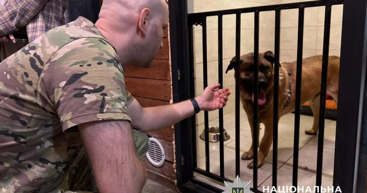 Міша під наглядом: правоохоронці підтвердили належний догляд за собакою
