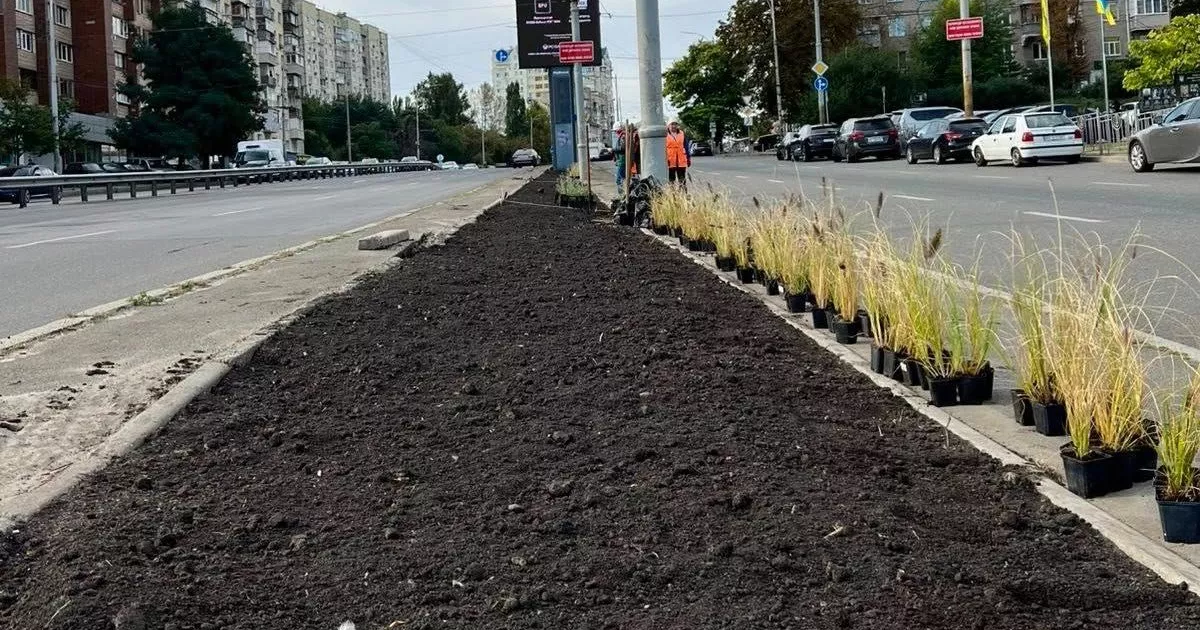 На Голосіївському проспекті висадили 580 саджанців стійких до спеки рослин