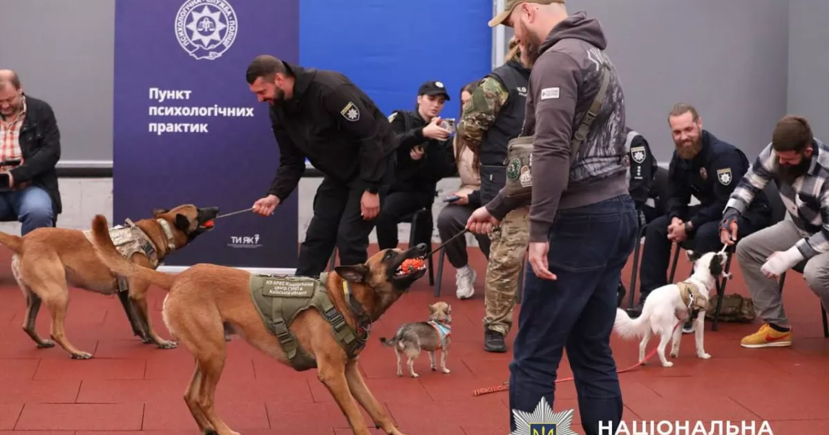 Чотирилапі друзі допомагають воїнам відновити психологічну рівновагу