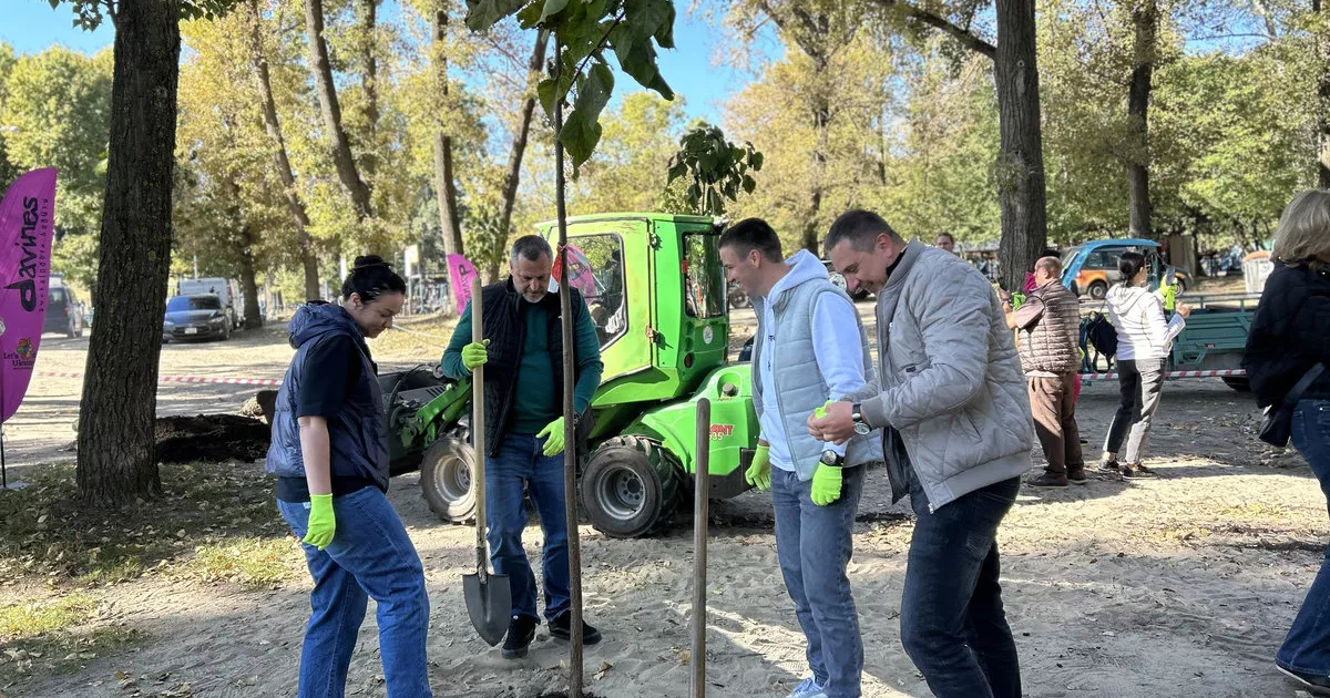 Зелений апґрейд столиці: на Долобецькому острові висадили майже півсотні катальп