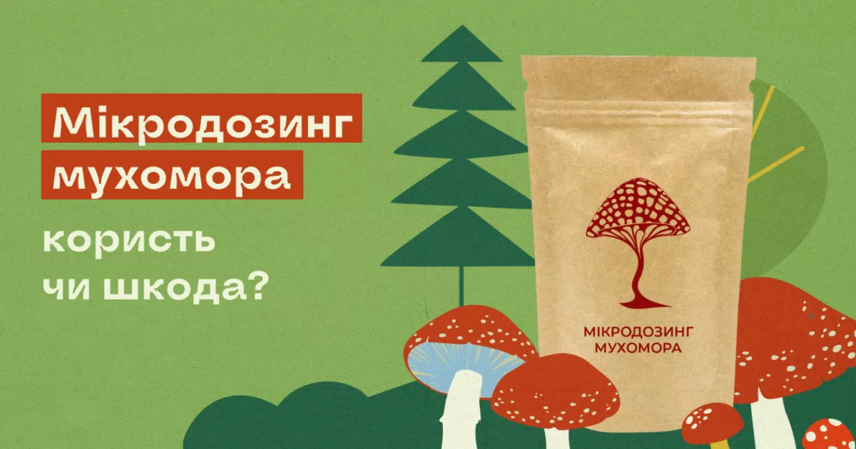 Мікродозинг мухомора: новий велнес-ритуал чи небезпечний флірт із природою?