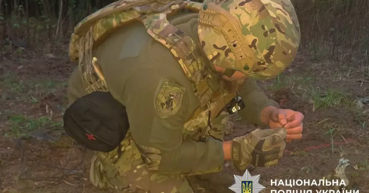Знайдену в лісопарку бойову частину БпЛА знешкодили вибухотехніки Києва
