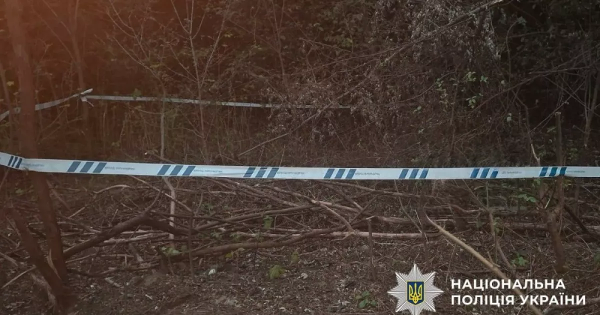 Вибухотехніки ліквідували бойову частину ворожого безпілотника в Києві