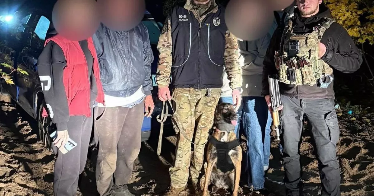 На Київщині собаки-поліцейські знайшли двох літніх грибників, що заблукали