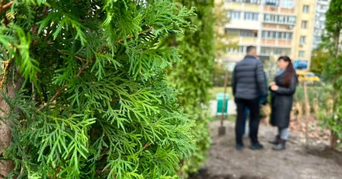 Сквер у Дарницькому районі прикрасили вічнозеленими туями — завершили благоустрій локації