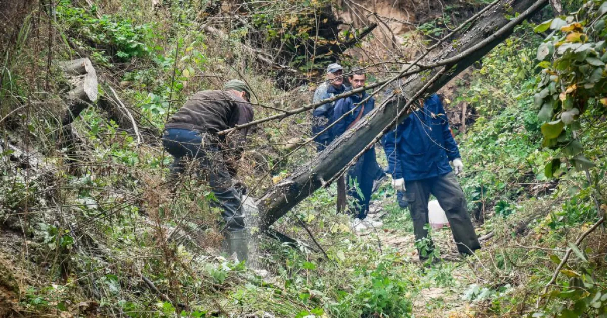 КП «Плесо» прибрало сміття та повалені дерева зі Святошинського каналу