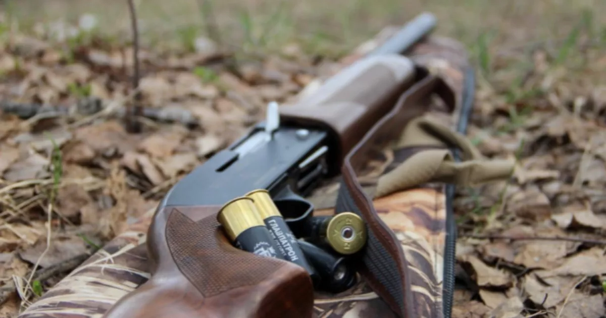 На Київщині ухвалили рішення відстрілювати диких хижих тварин до лютого 2026 року