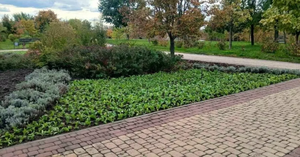 Квіткове оновлення столиці: у парках Дніпровського району з’явилися тисячі нових рослин