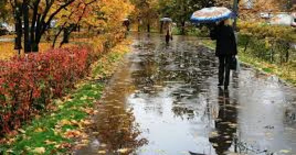 Осінь бере своє: у Києві 19 жовтня — дощ, холод і сіре небо