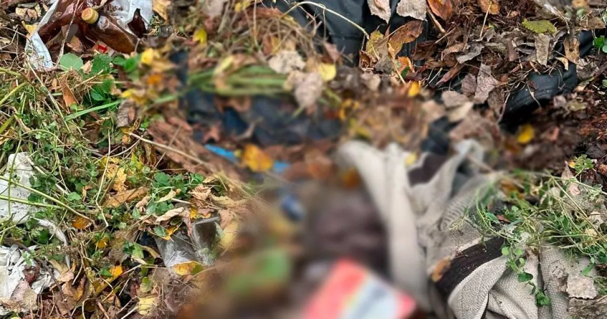 Побив до смерті та присипав листям: у Києві затримали підозрюваного у вбивстві знайомого