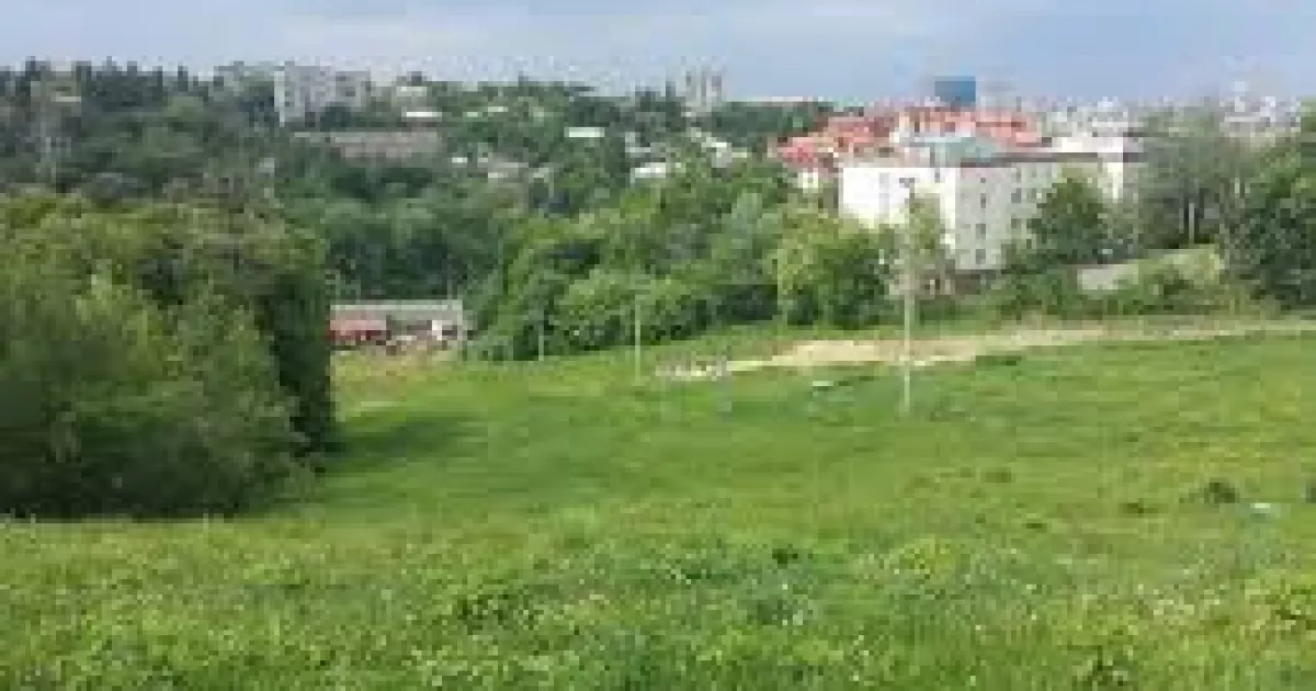 У Києві пройде вирішальний суд щодо захисту Протасового яру