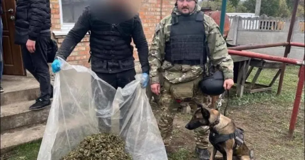 На Київщині службова вівчарка Тесла допомогла виявити 30 кг речовини, схожої на наркотики