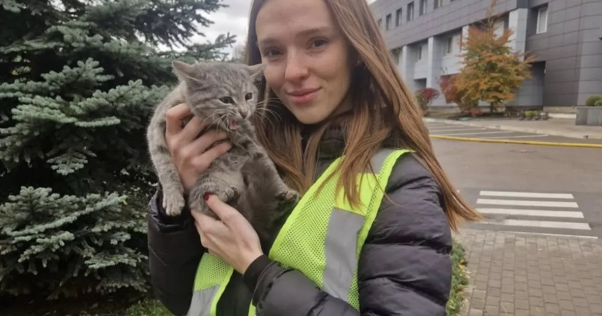 Кошеня з-під уламків у Києві врятувала та прихистила слідча поліції