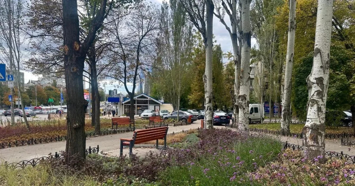 Нові зелені зони: у Києві облаштували 10 мініскверів
