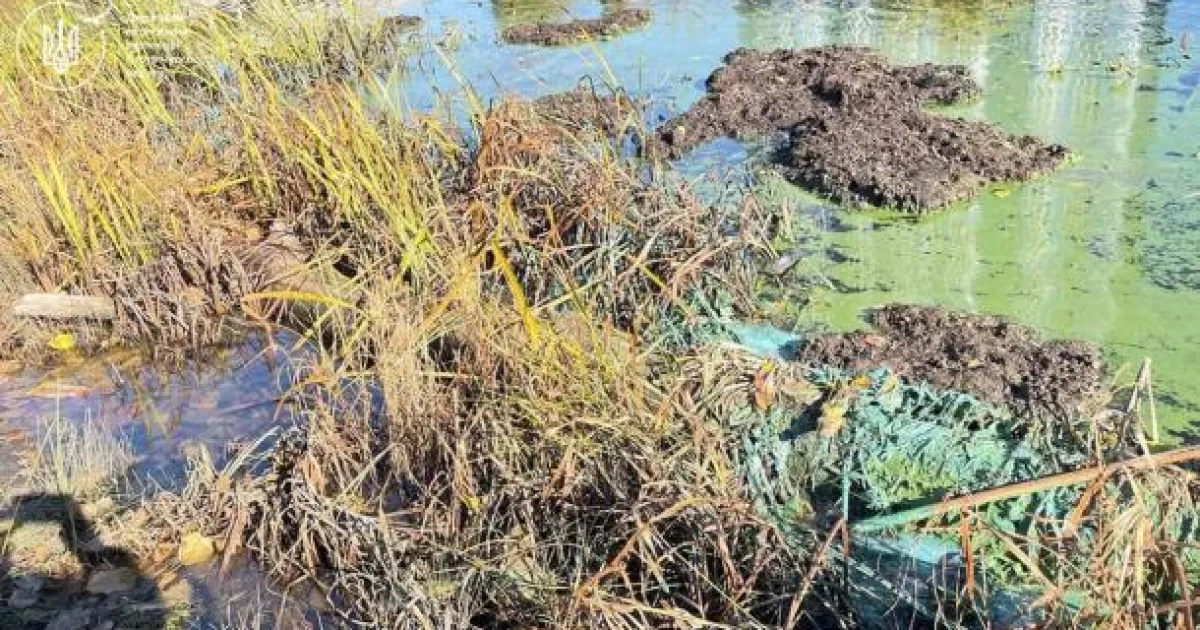 Зелена вода на Русанівці: у Києві зафіксували зміни в Русанівському каналі