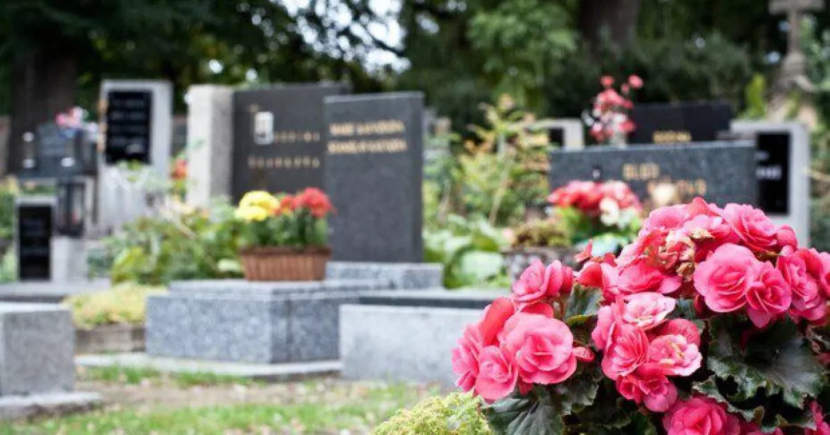 Нове кладовище у Славутичі: на коригування робіт спрямували 32,6 млн грн