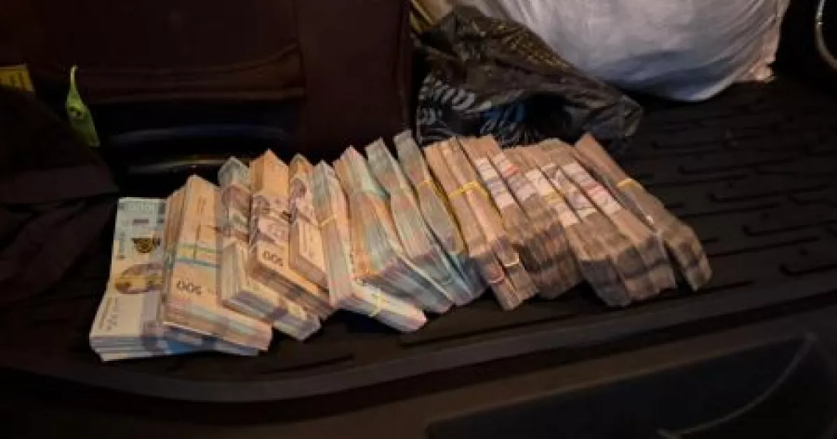 Пачки грошей у багажнику: посадовця затримали за хабарі за вирубку лісу