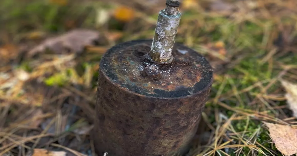 У лісі під Бучею знайшли «трофеї минулих воєн»: сапери знищили міну S-mine 35 і снаряди