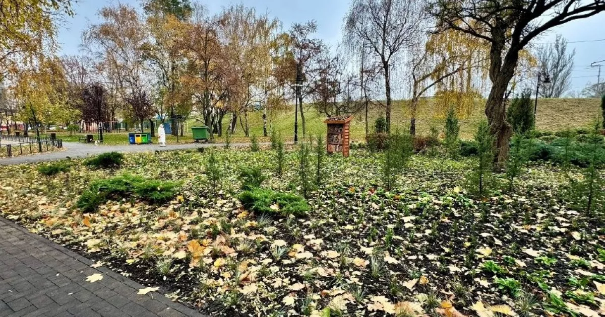 Куренівський парк готують до нового сезону — висадили квіти, злаки та хвойні рослини