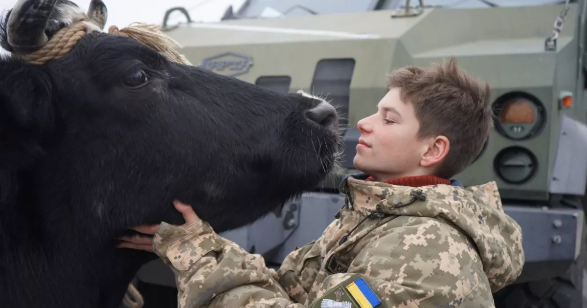 Кінопрем’єри листопада в Києві: топ-10 фільмів місяця