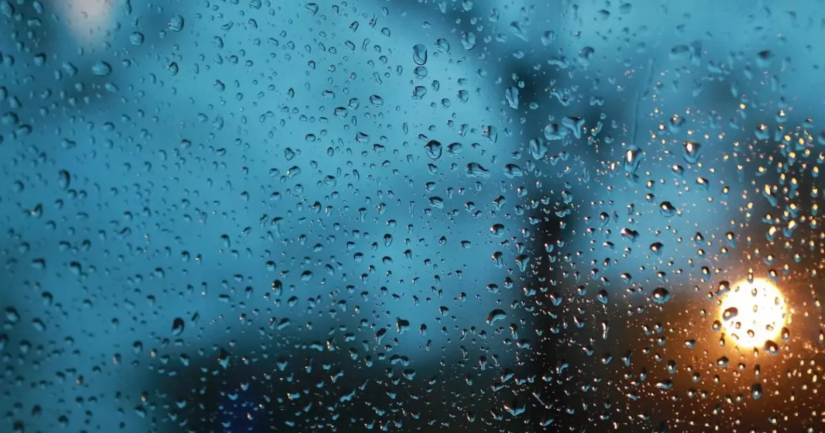 Похмурий початок тижня: у Києві до +12°C, подекуди невеликий дощ