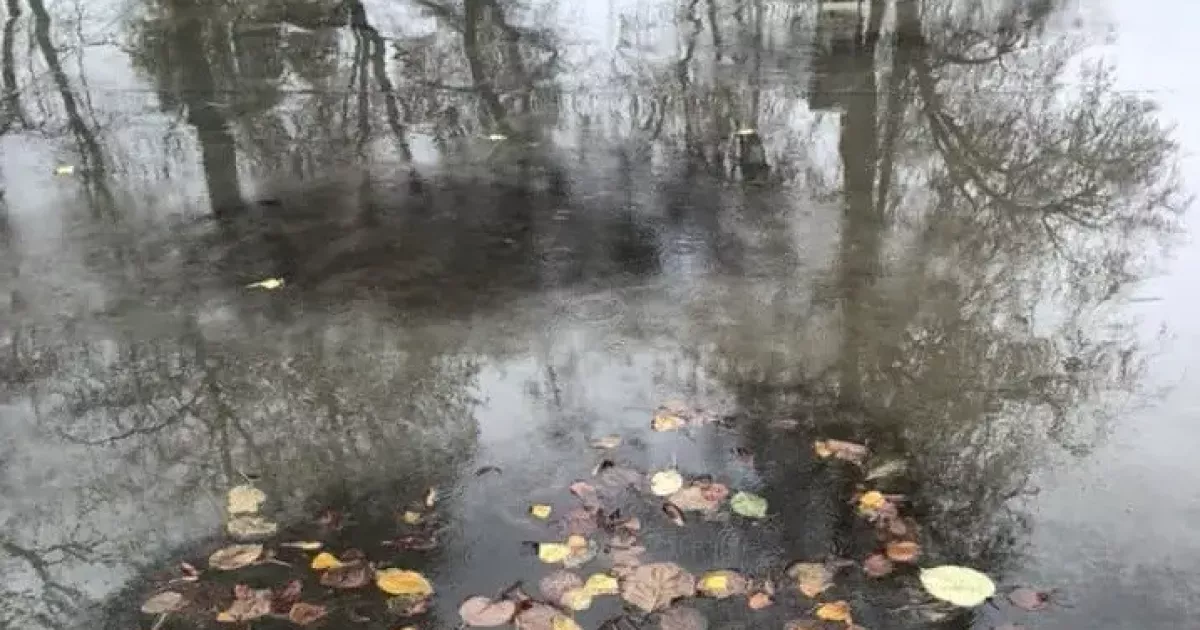 Вівторок у Києві буде похмурим і дощовим, але теплим