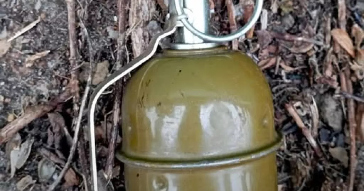 На Київщині сапери вилучили гранату, знайдену в гаражному кооперативі