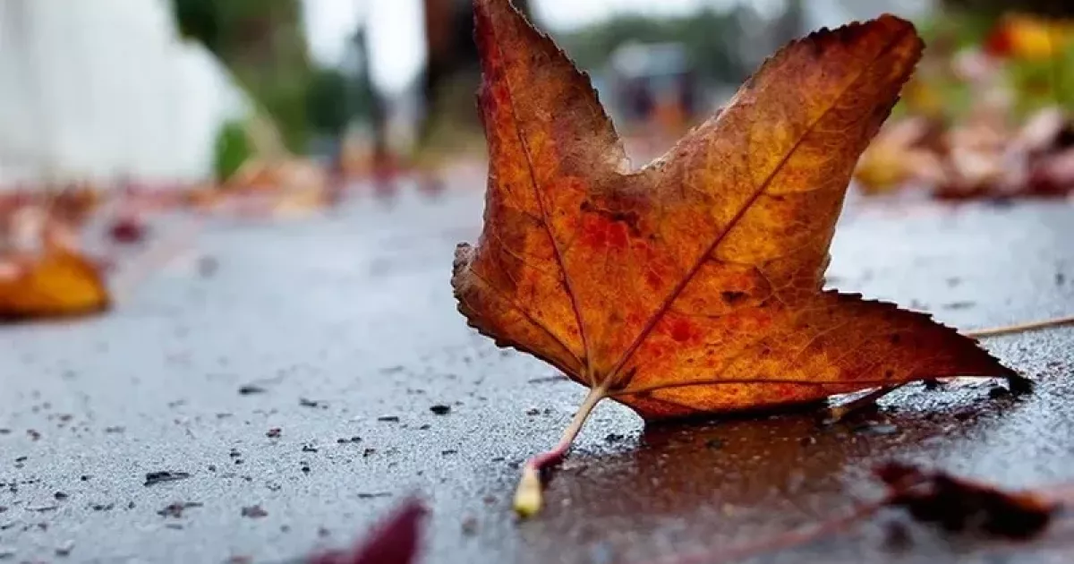 Погода в Києві 12 листопада: хмари, прохолода та невеликий дощ
