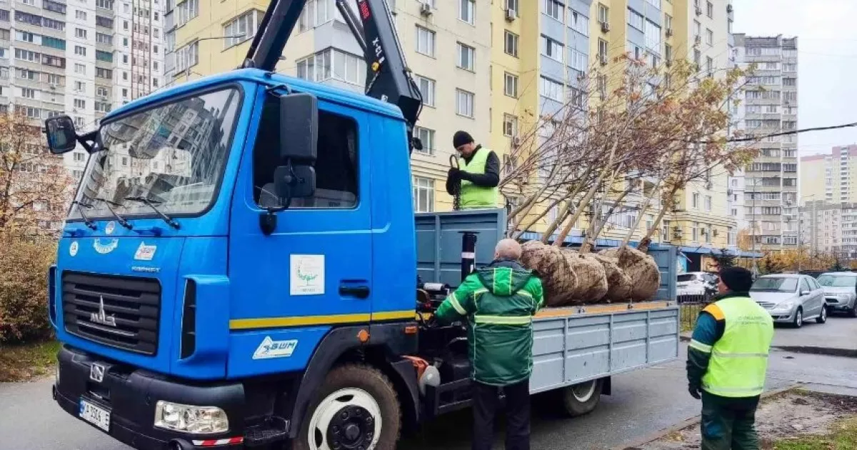 Київзеленбуд поповнює зелені зони: у Солом’янському висадили клени й липи