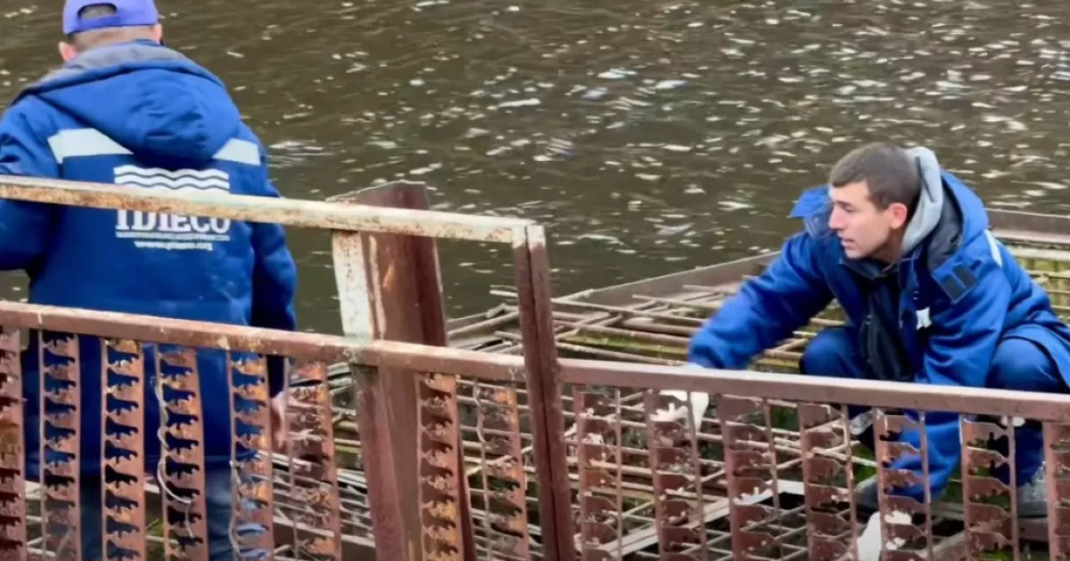 Київ готує водойми до паводків: «Плесо» очистило Совські ставки та інші водотоки