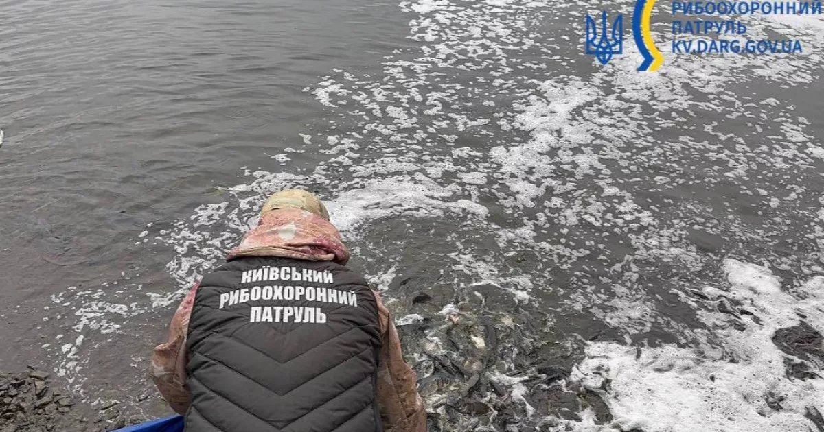 На Київщині у водосховище випустили понад 6,5 тисячі рибин: триває осіннє зариблення