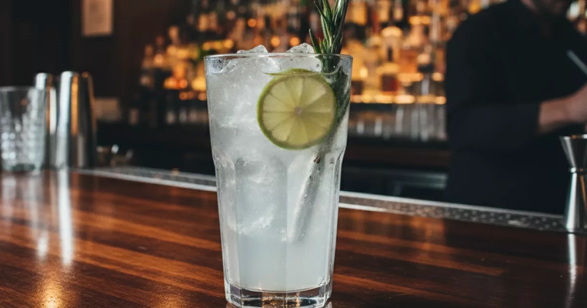 Від Подолу до центру: 10 київських локацій з Gin Tonic, який вартий вашого вечора