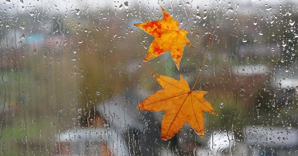 У Києві різко холодає: 28 листопада хмари, +2…+4 °C і сирий вітер