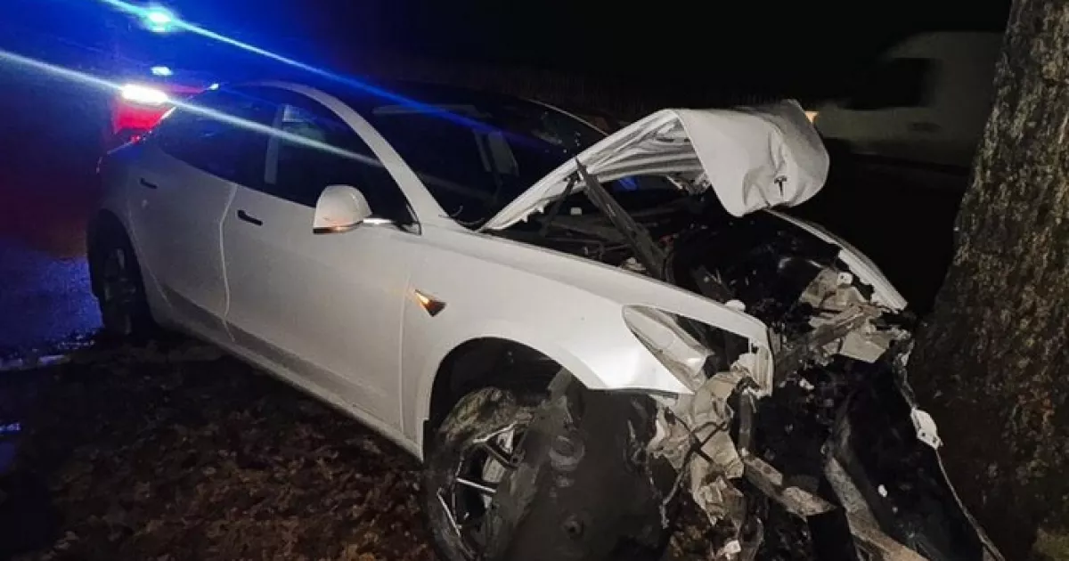 “Заробив — випив — викрав”: на Київщині 19-річний чоловік угнав Tesla і розтрощив її