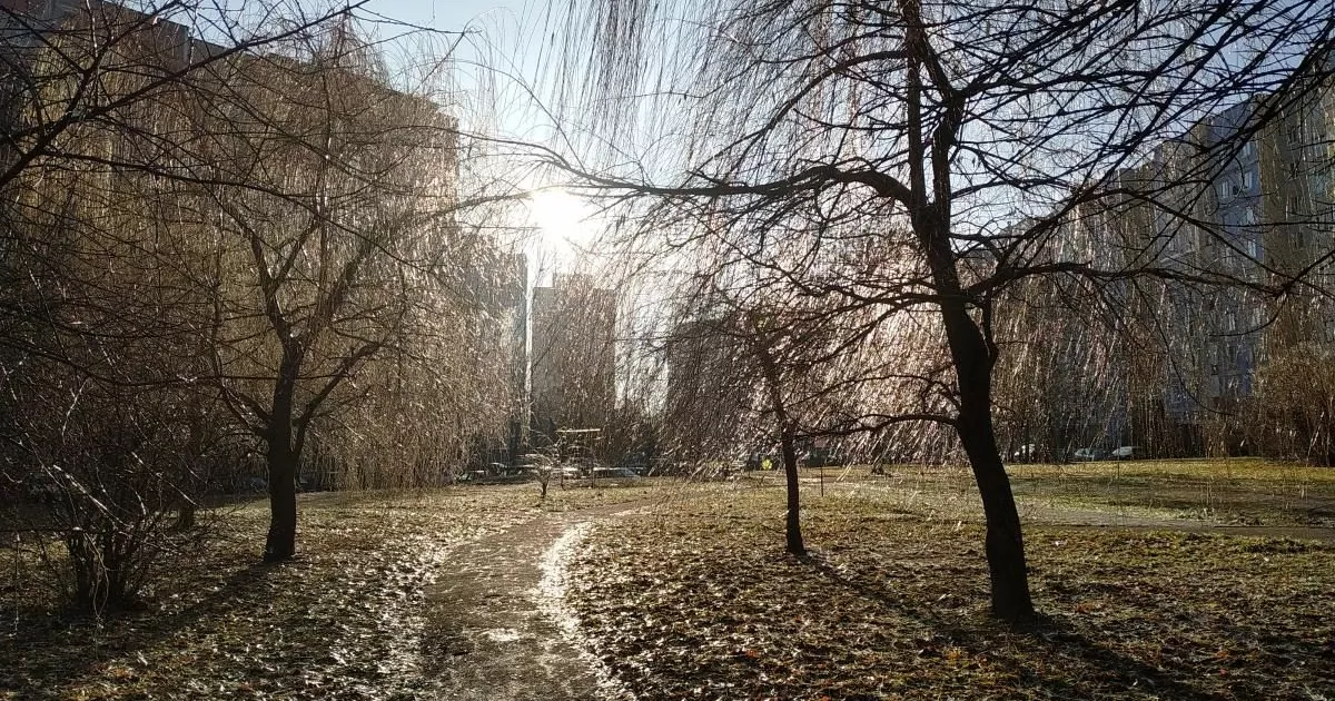 Погода в Києві 5 грудня: м’яка зима, без опадів і з теплим вітром