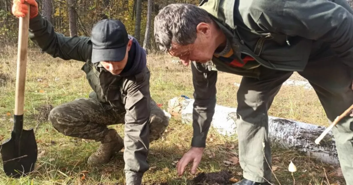 У київських лісах з’явилися саджанці від тисячолітніх дубів Шевченка