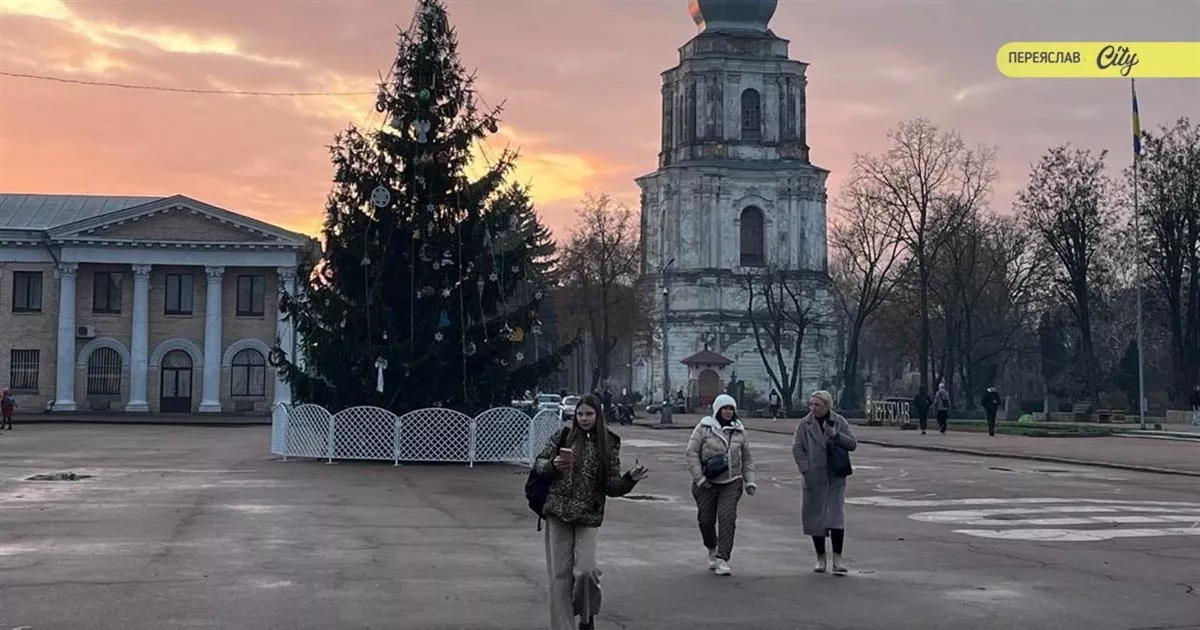 Головна ялинка Переяслава має свою історію: колись саджанець, тепер — символ свята