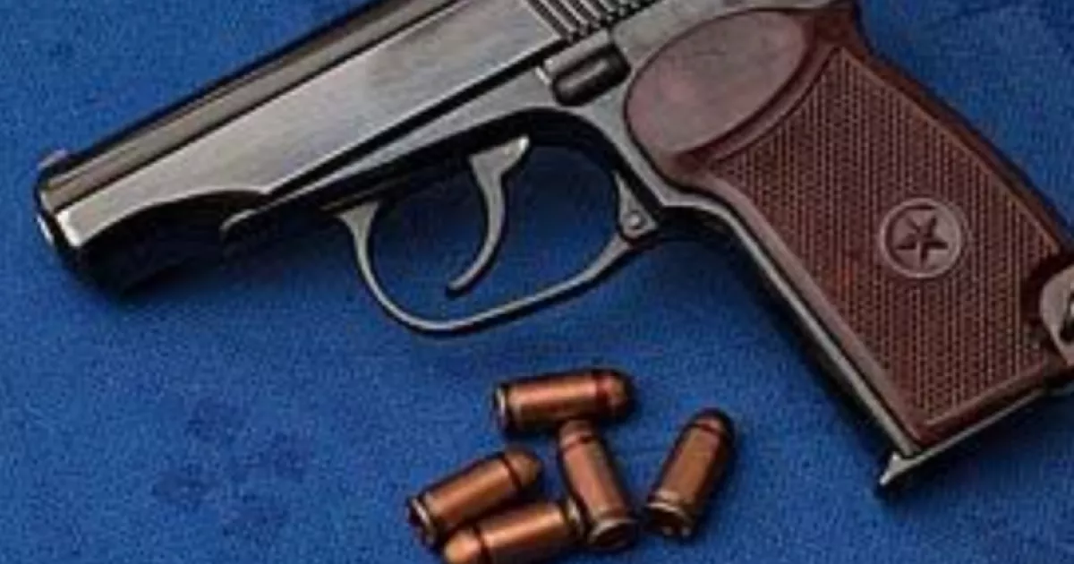 Пістолет «у стволі» та 317 патронів: затриманому на Київщині загрожує до семи років в’язниці