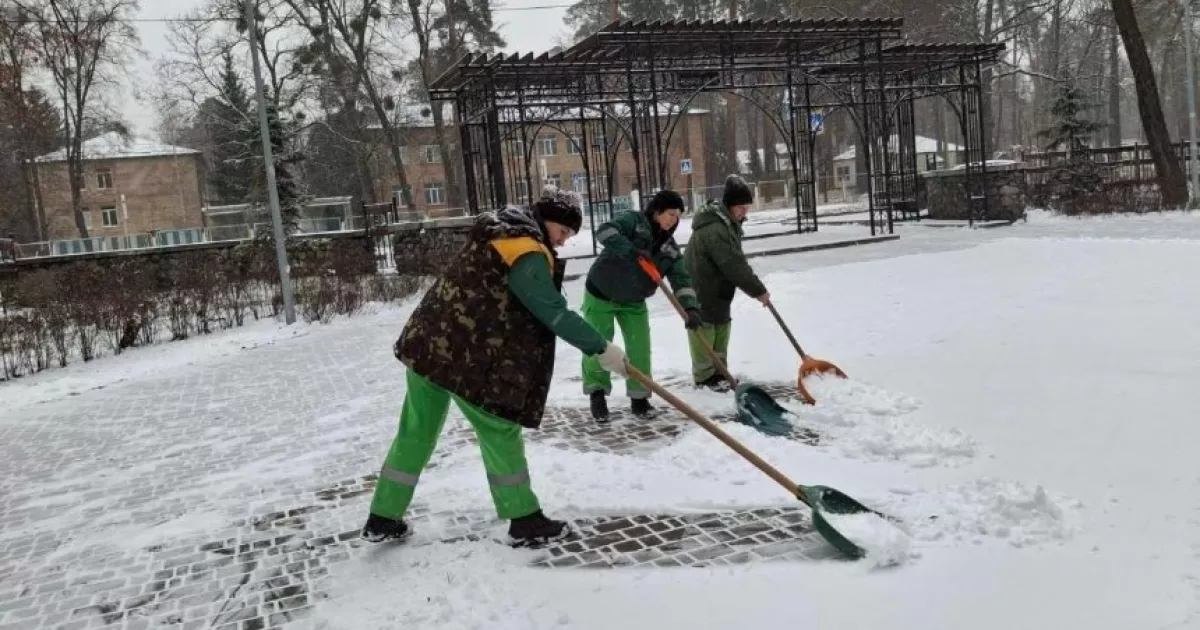 Зима в дії: як Київ прибирає сніг на дорогах, тротуарах і в парках