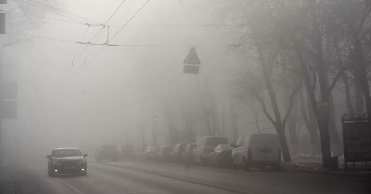 Туман уночі та вранці: якою буде погода на Київщині 17 грудня