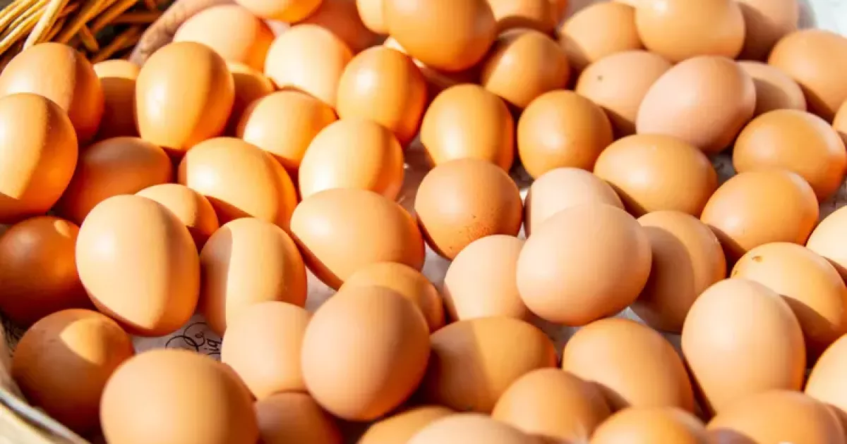 Де в Києві нині купити фермерські продукти: перелік ярмарків